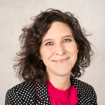 Prof. Dr. Stefanie Schmidt